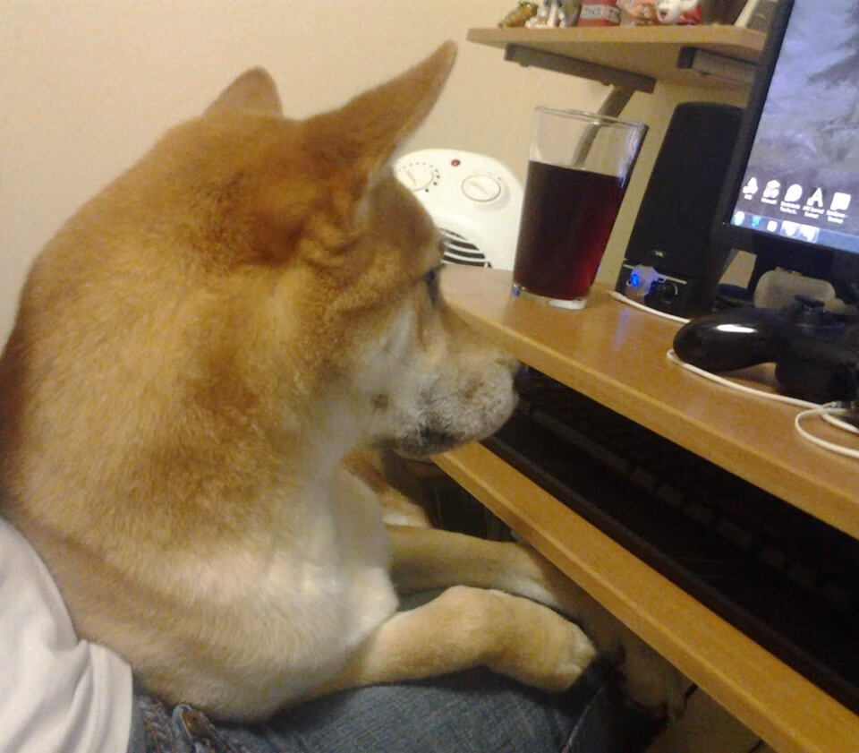 横扫对手，主宰赛道，梅赛德斯的银箭风暴与塞恩斯的个人宣言