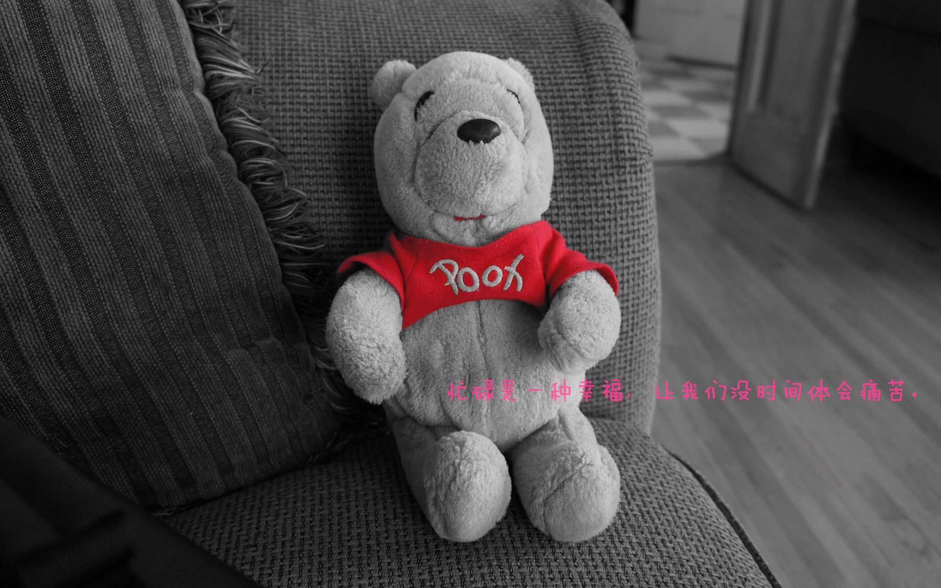 新生与旧王，西亚卡姆一刀封喉，快船绝杀国王启示录