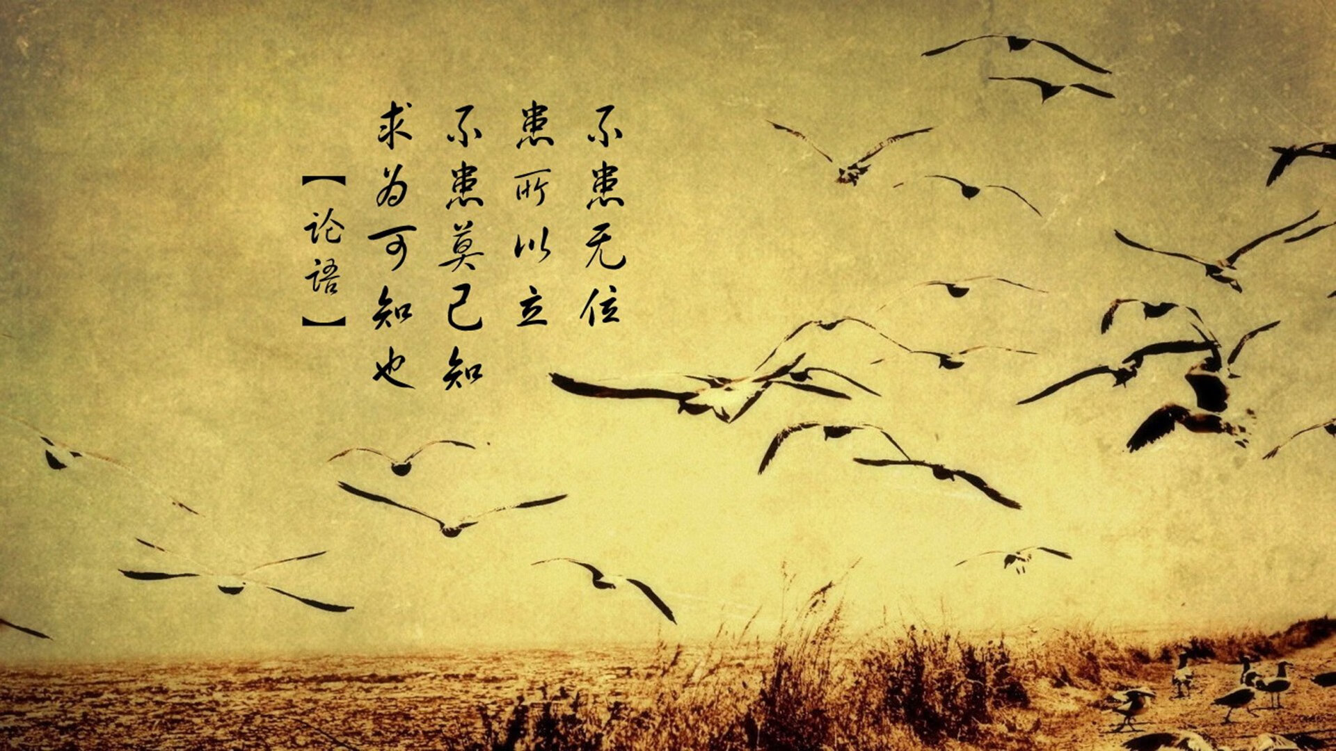 唯一性的见证，索伯车队历史性完胜雷诺，勒克莱尔全场统治的传奇之战