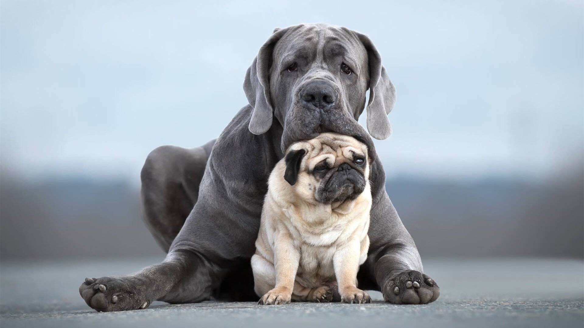 黑白棋盘上的黄金落子，周琦在密尔沃基鏖战中的东方解