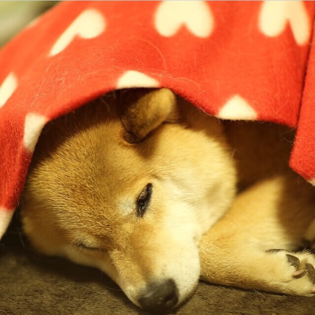 冰与火之歌，拉梅洛·鲍尔的总决赛节奏诗篇