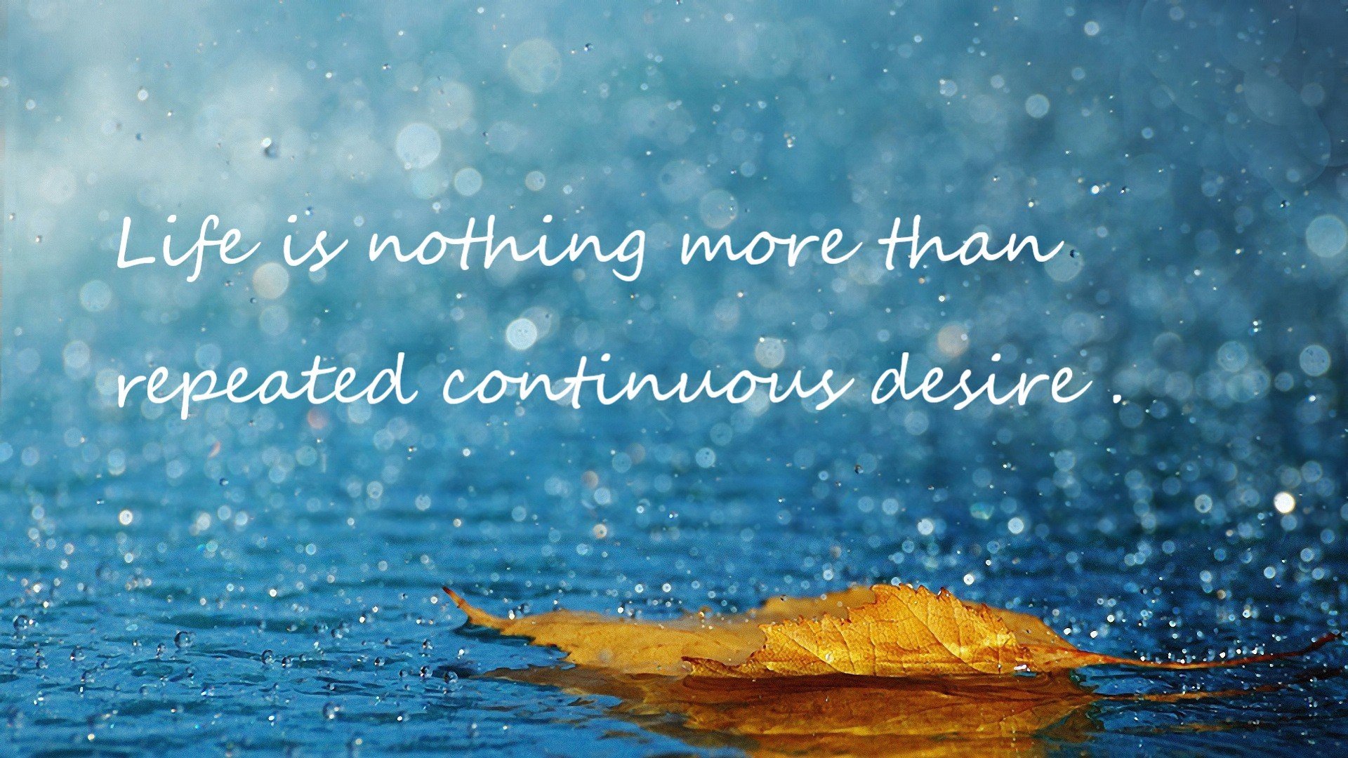 从天才到领袖!小贾伦末节轰15分主宰火箭涅槃之战,他是休城最硬的答案