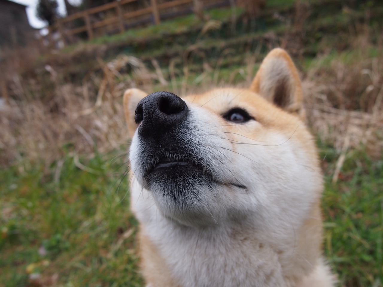 节奏掌控的艺术,从摩洛哥到智利,解码意甲焦点战的胜负关键