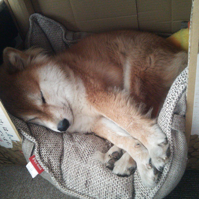 天涯彼岸的救赎，孔德一球定江山，智利破茧终成王