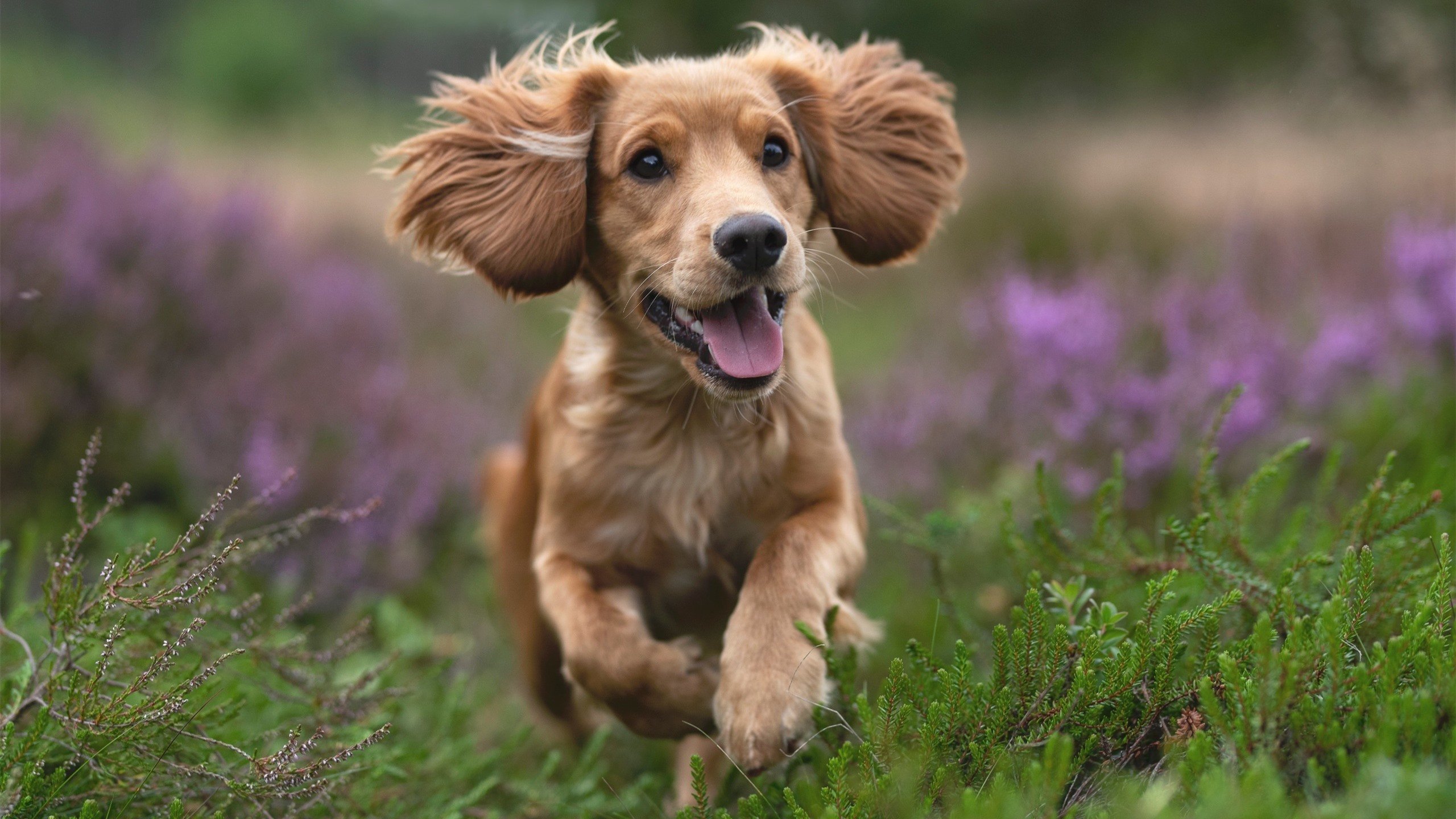 魔术未破骑士，欧文18针缝合线精密输出