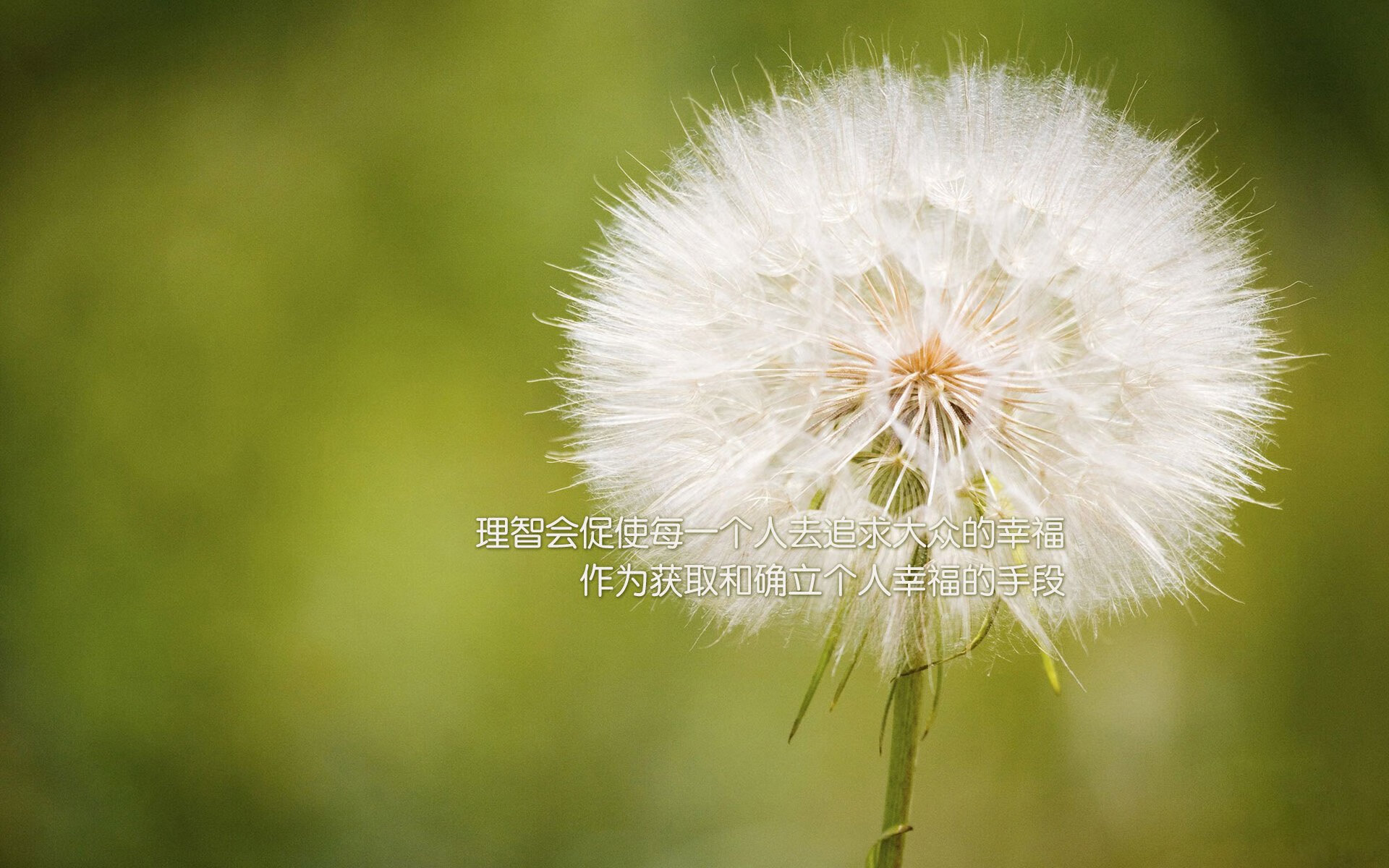 小贾伦·杰克逊深圳版统治力，当东方基因在NBA赛场炸裂