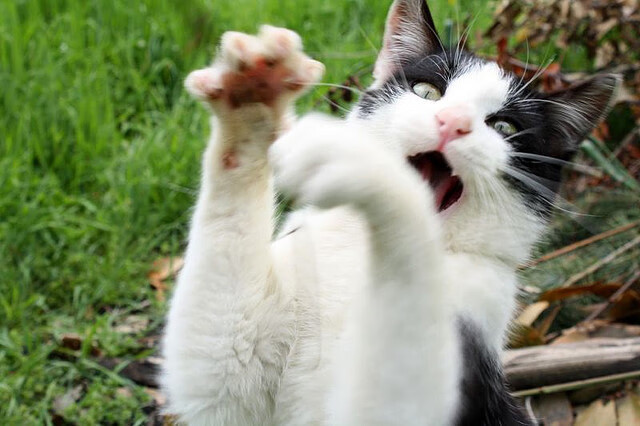 奥运周期生死战爆最大冷门,南美黑马横空出世,巴拉圭两球击碎中国足球梦