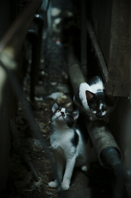 三分钟颠覆战局，摩洛哥单节拉开塞内加尔，阿坎吉成关键先生