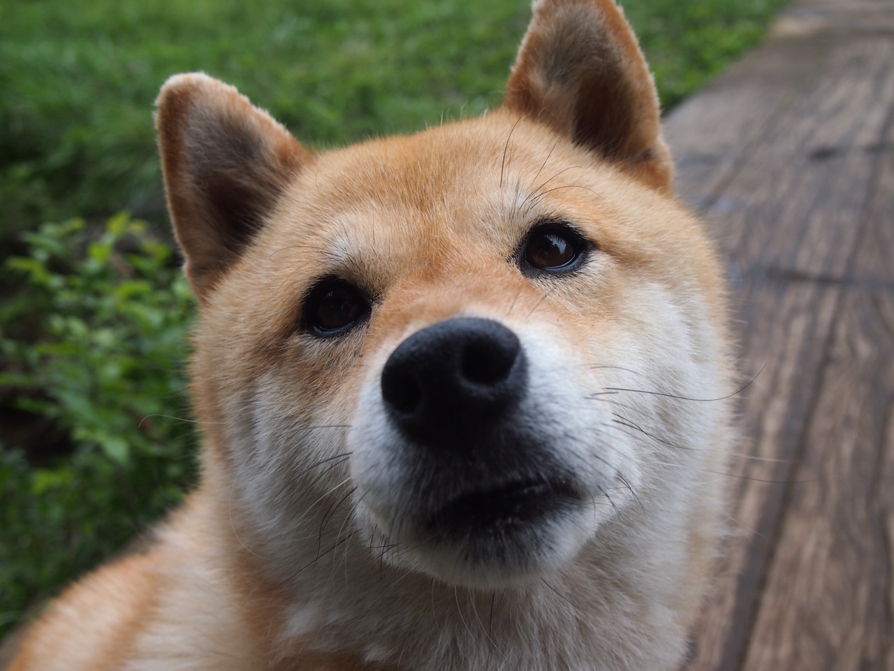 当智利淘汰罗马，赖斯如何用中场思维重写游戏规则