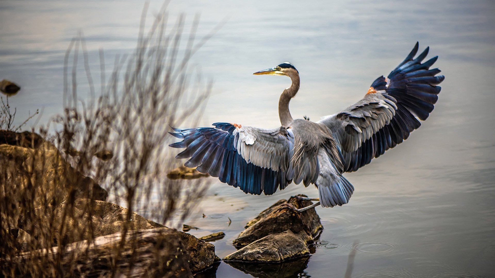 艺术与硬度的碰撞，奥斯梅恩的制胜一击，将两种哲学钉入永恒