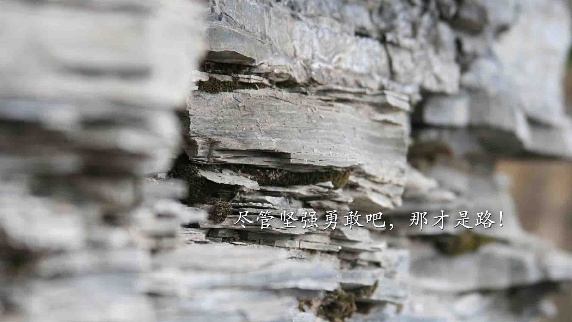 利物浦的挪威阴影，拜仁的波兰利刃，当压制与接管在同一片球场上演