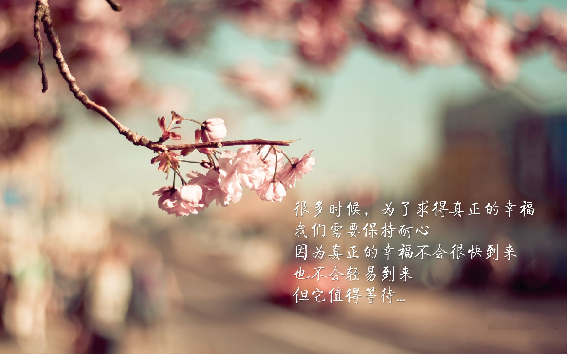 赛道与球场的终极封锁，当F1决赛圈遇上利物浦的塞内加尔防线