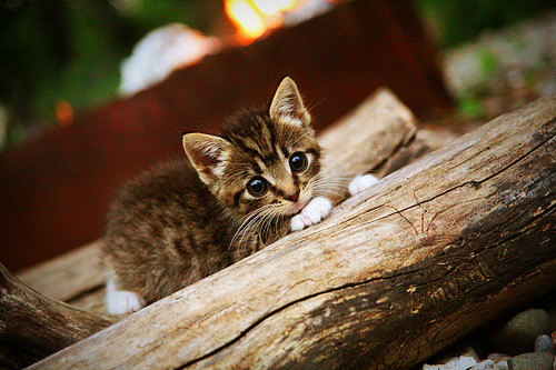 瓦伦西亚绝命弯，西班牙战术风暴强行终结中国黑马神话