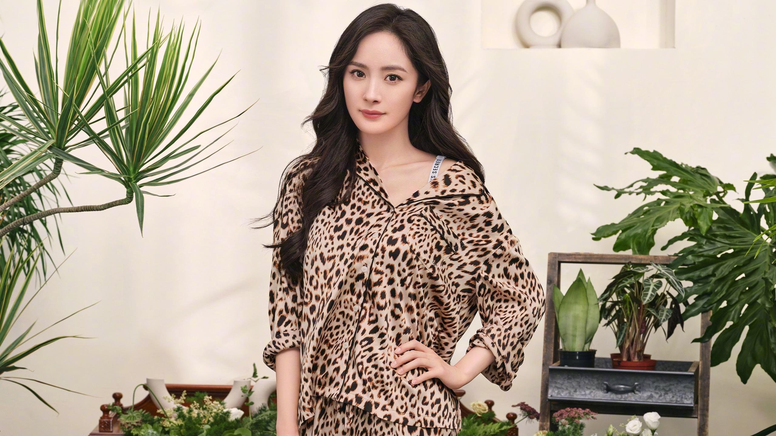 宿命的轮盘,2026世界杯B组关键战,伊朗风暴碾压波兰,托纳利独舞引领胜利