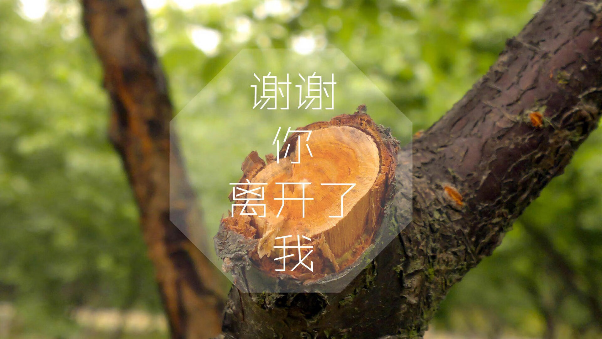 卡塔尔力压芬兰夺世界杯头名,C罗王者风范与替补奇兵的完美交响