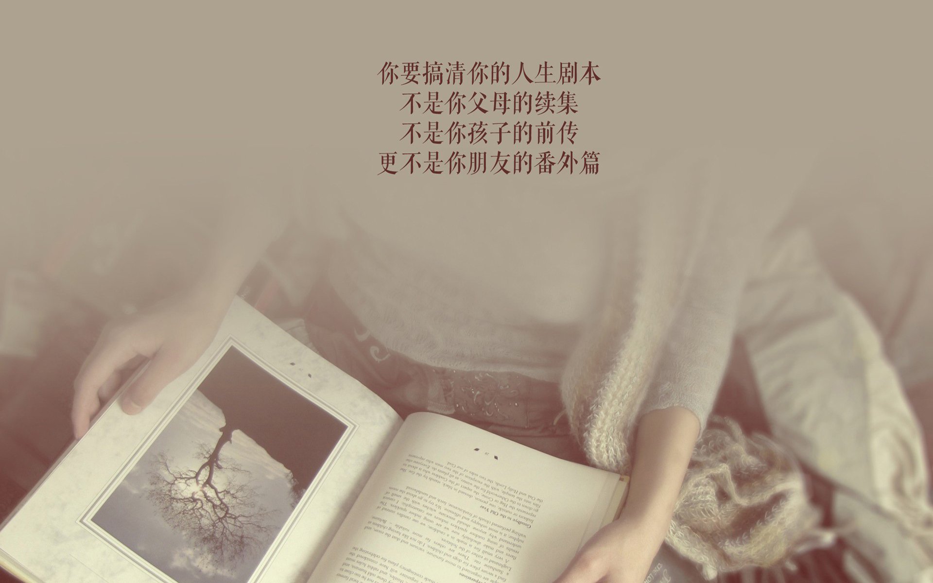 孤星闪耀,2026世界杯A组冷门夜,罗马尼亚铁血防线封杀哥伦比亚,凯恩独舞成唯一亮色